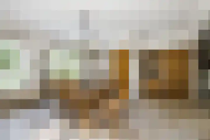 Doolandweg 38 Bladel thumbnail 7