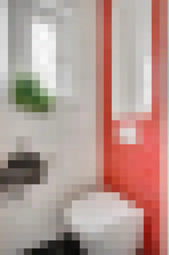 Doolgaardstraat 29 Horst thumbnail 13