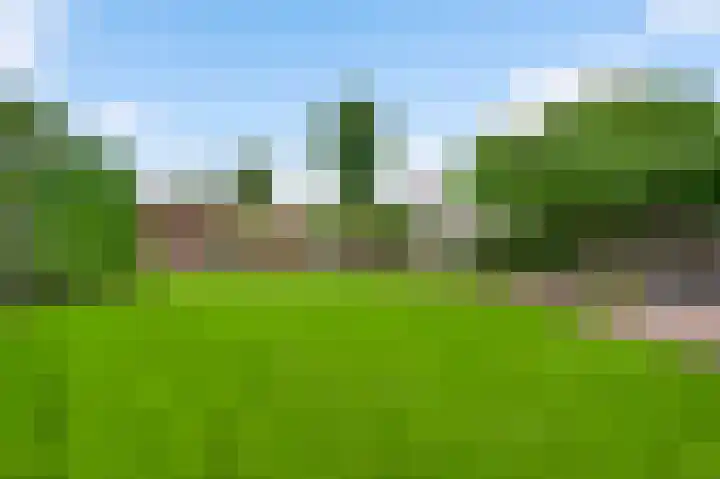 Doolgaardstraat 29 Horst thumbnail 27