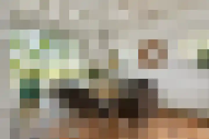 Doolhof 1 Gemonde thumbnail 10