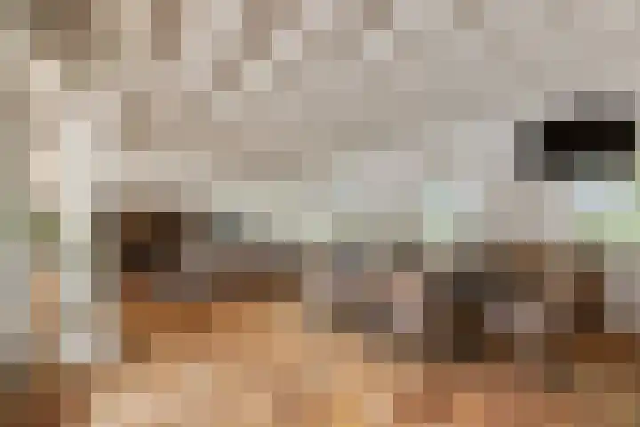 Doolhof 1 Gemonde thumbnail 12