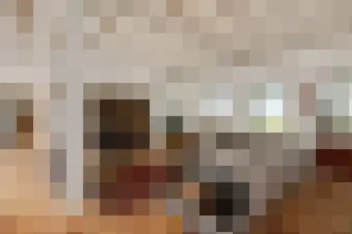 Doolhof 1 Gemonde thumbnail 14