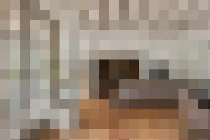 Doolhof 1 Gemonde thumbnail 15