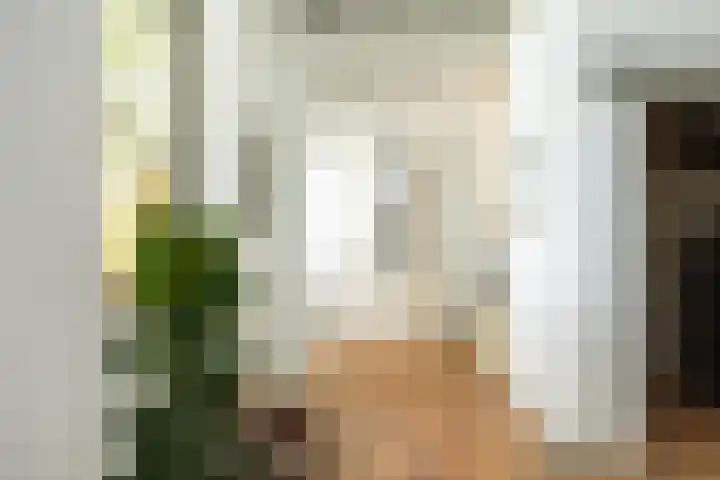 Doolhof 1 Gemonde thumbnail 20
