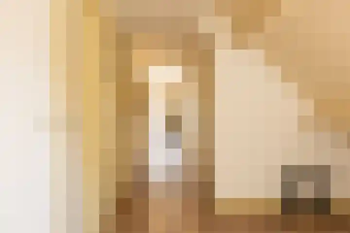 Doolhof 1 Gemonde thumbnail 21