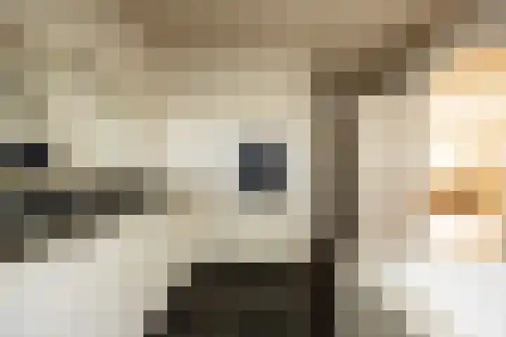 Doolhof 1 Gemonde thumbnail 25