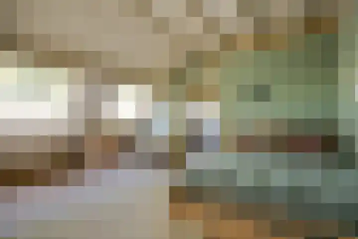Doolhof 1 Gemonde thumbnail 26