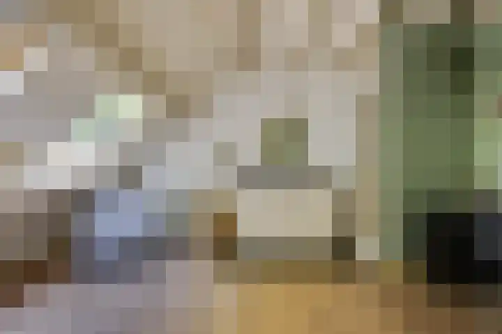 Doolhof 1 Gemonde thumbnail 27