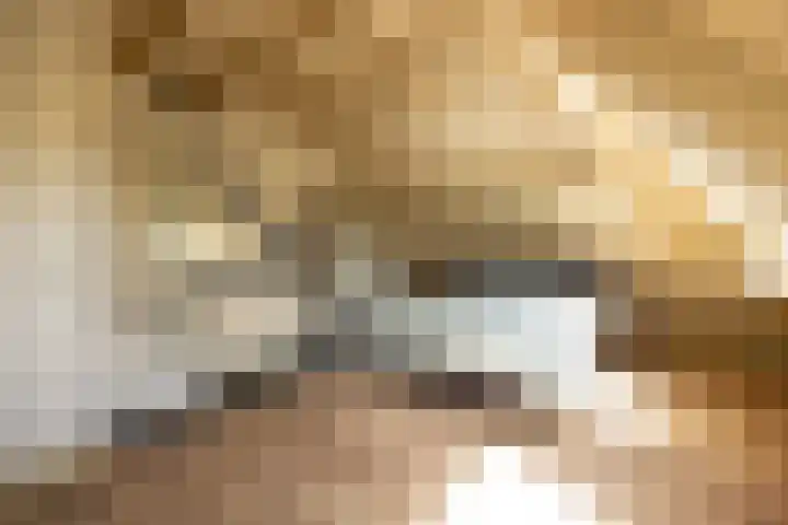 Doolhof 1 Gemonde thumbnail 28