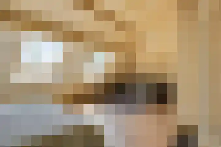 Doolhof 1 Gemonde thumbnail 29