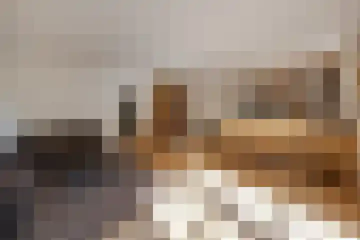 Doolhof 1 Gemonde thumbnail 33