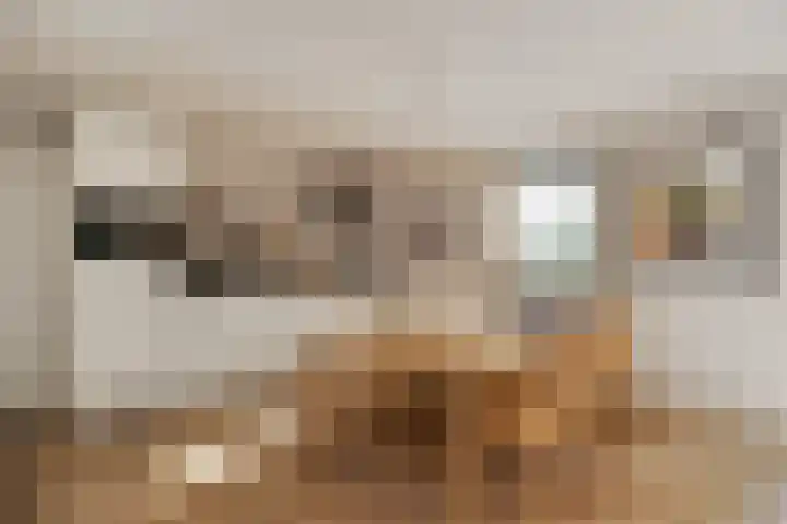 Doolhof 1 Gemonde thumbnail 34