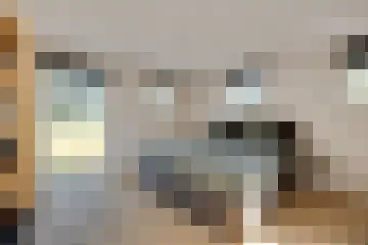 Doolhof 1 Gemonde thumbnail 36