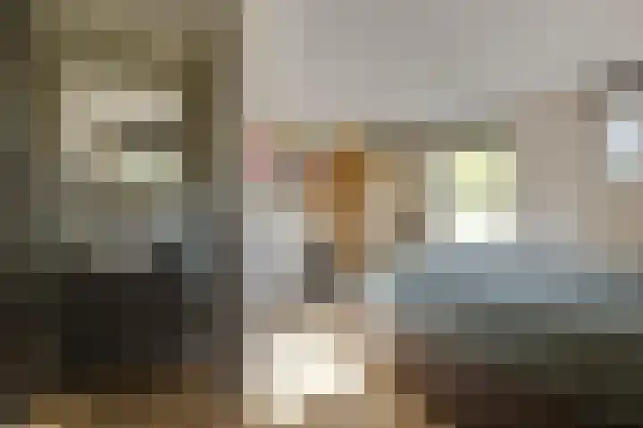 Doolhof 1 Gemonde thumbnail 37