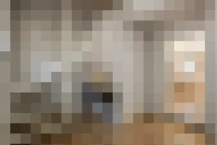 Doolhof 1 Gemonde thumbnail 39