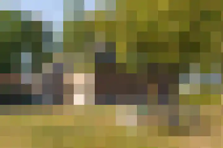 Doolhof 1 Gemonde thumbnail 4