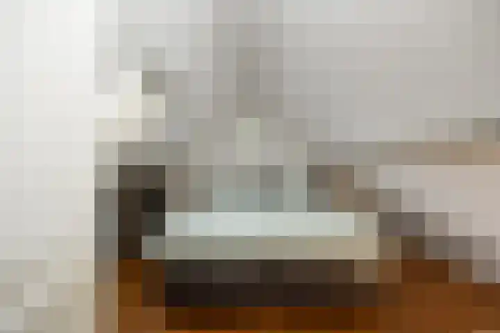 Doolhof 1 Gemonde thumbnail 40