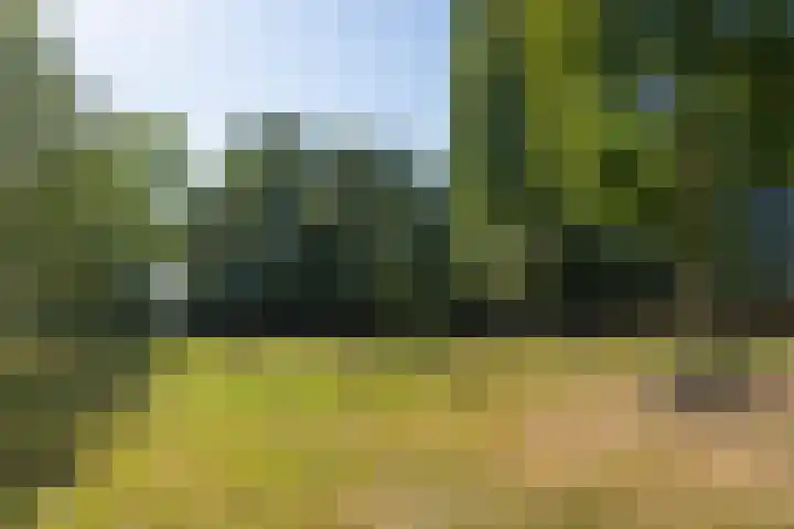 Doolhof 1 Gemonde thumbnail 44