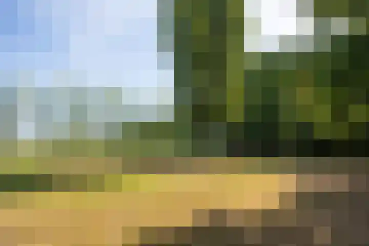 Doolhof 1 Gemonde thumbnail 45