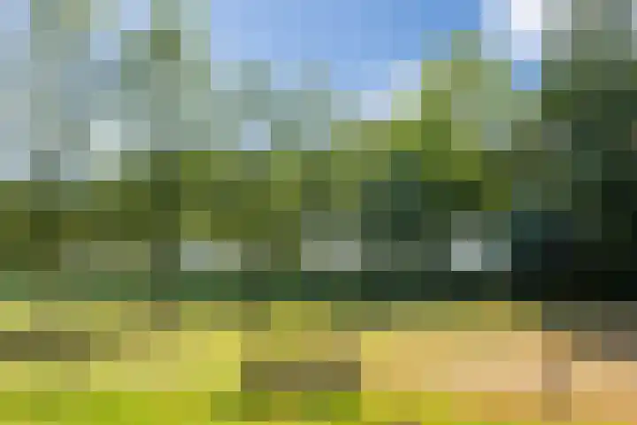 Doolhof 1 Gemonde thumbnail 46