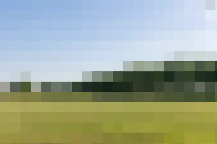 Doolhof 1 Gemonde thumbnail 47