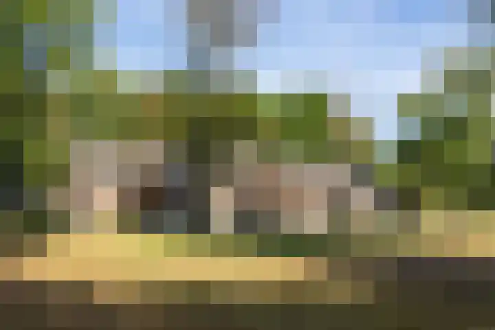 Doolhof 1 Gemonde thumbnail 48