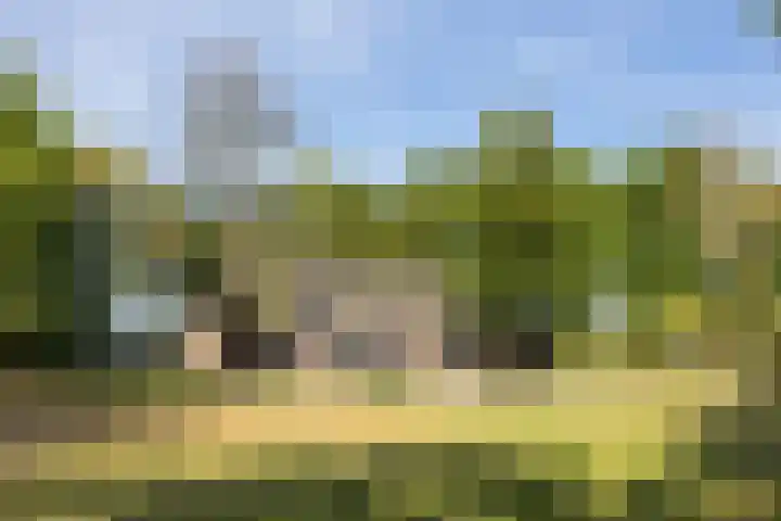 Doolhof 1 Gemonde thumbnail 49