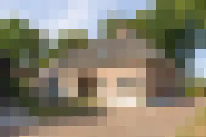 Doolhof 1 Gemonde thumbnail 50