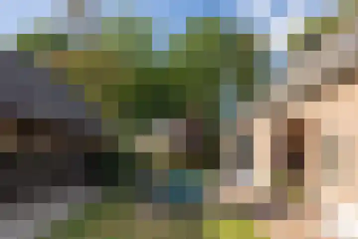 Doolhof 1 Gemonde thumbnail 51