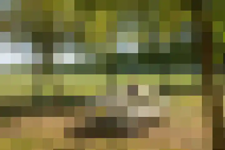 Doolhof 1 Gemonde thumbnail 52