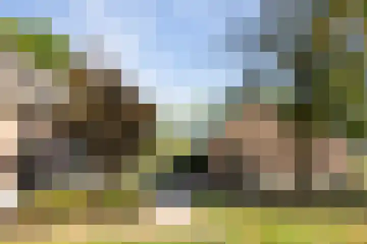 Doolhof 1 Gemonde thumbnail 53