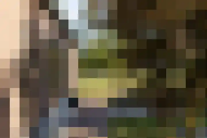 Doolhof 1 Gemonde thumbnail 54