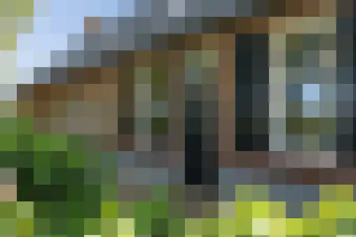 Doolhof 1 Gemonde thumbnail 55