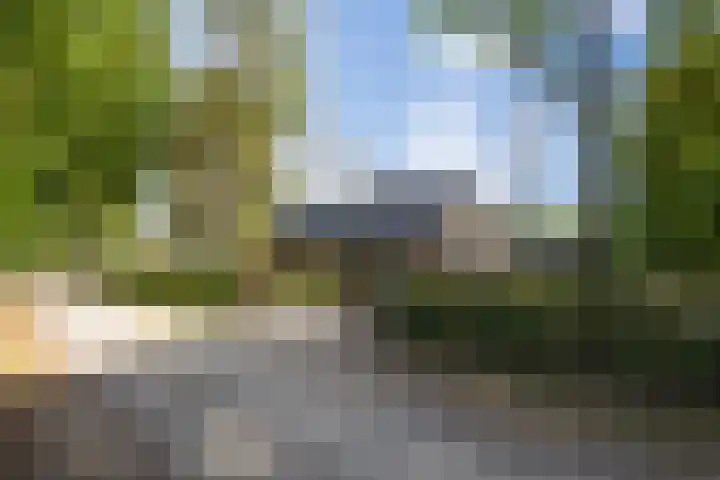 Doolhof 1 Gemonde thumbnail 56