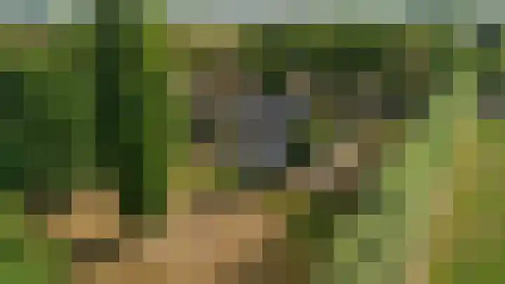 Doolhof 1 Gemonde thumbnail 57