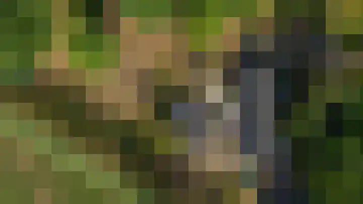 Doolhof 1 Gemonde thumbnail 58