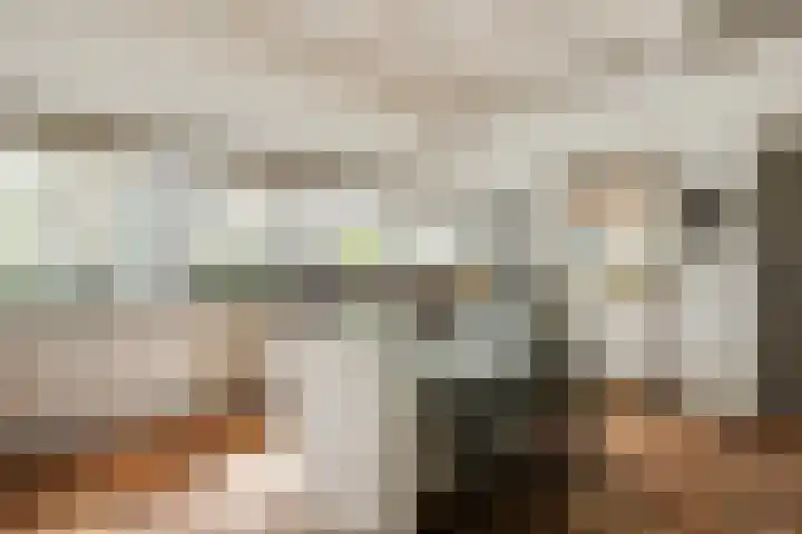 Doolhof 1 Gemonde thumbnail 7