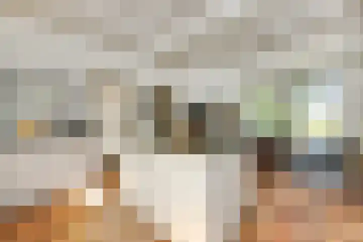 Doolhof 1 Gemonde thumbnail 8