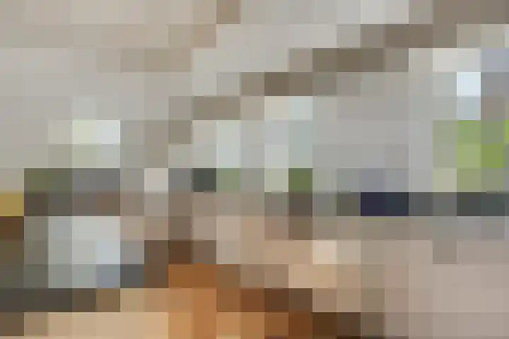 Doolhof 1 Gemonde thumbnail 9