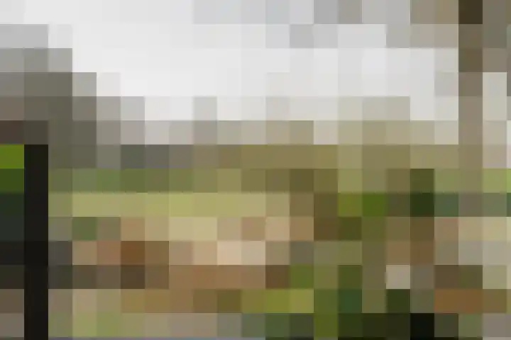 Doolhof 18 Enschede thumbnail 10