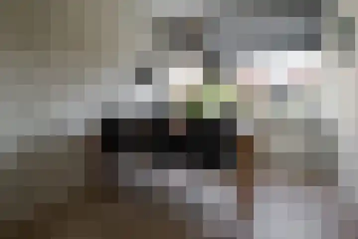 Doolhof 18 Enschede thumbnail 12