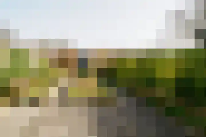 Doolhof 18 Enschede thumbnail 32