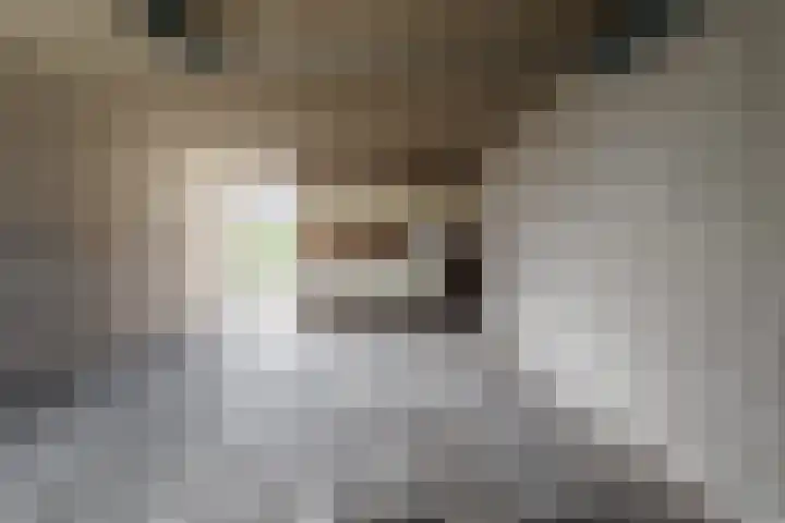 Doolhof 18 Enschede thumbnail 35