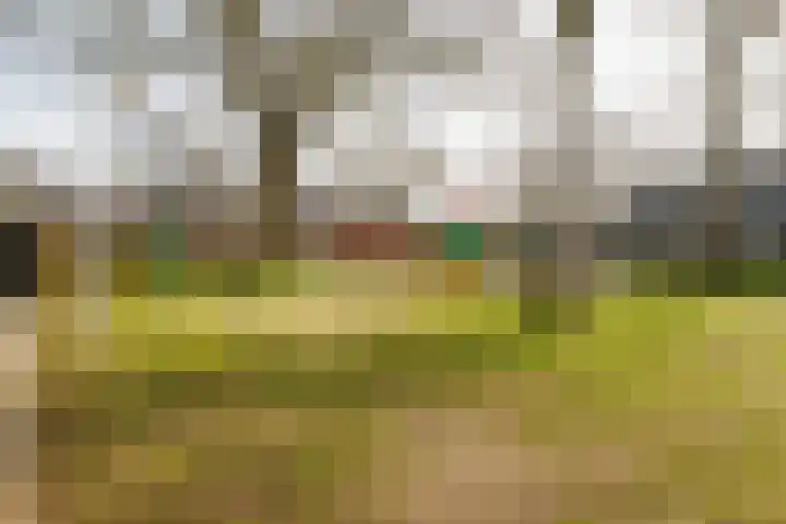 Doolhof 18 Enschede thumbnail 38