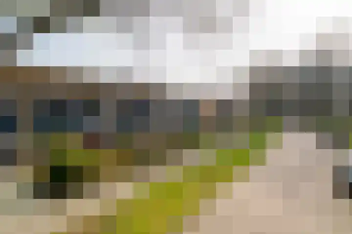 Doolhof 18 Enschede thumbnail 39