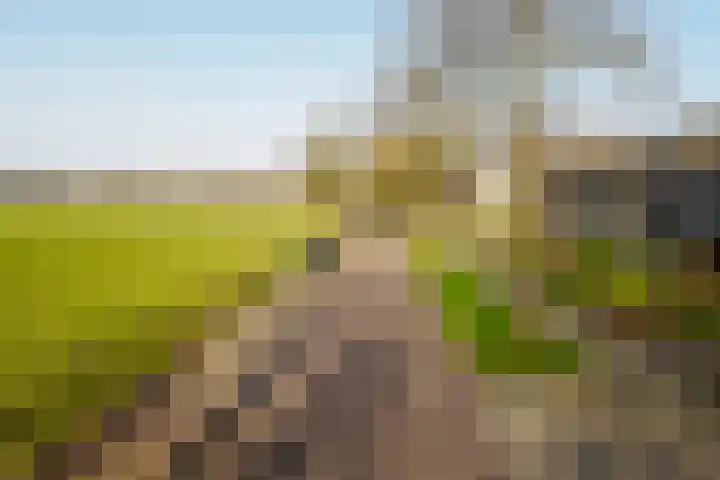 Doolhof 18 Enschede thumbnail 41