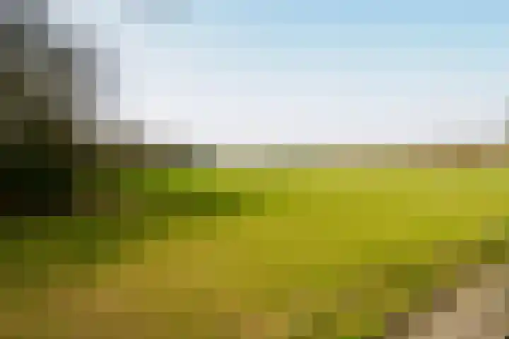 Doolhof 18 Enschede thumbnail 42