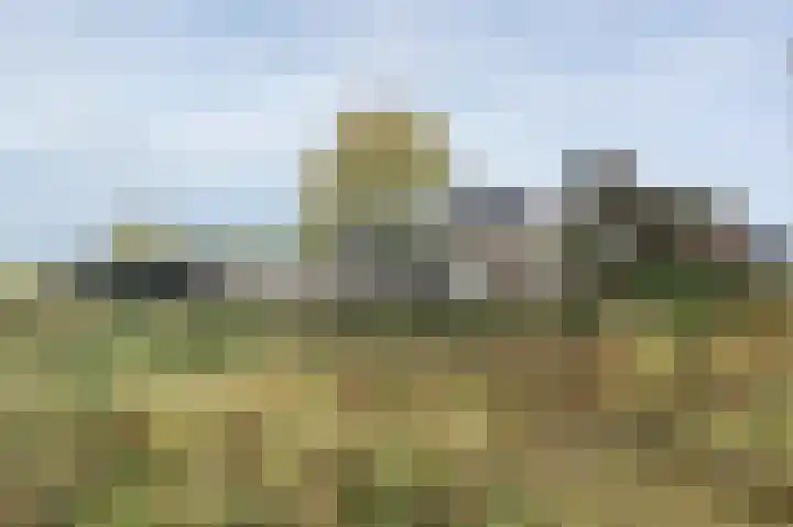 Doonheide 32 Gemert thumbnail 11