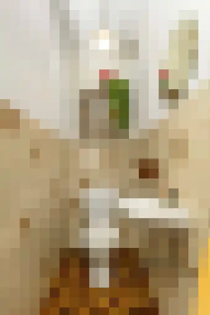 Doonheide 32 Gemert thumbnail 12