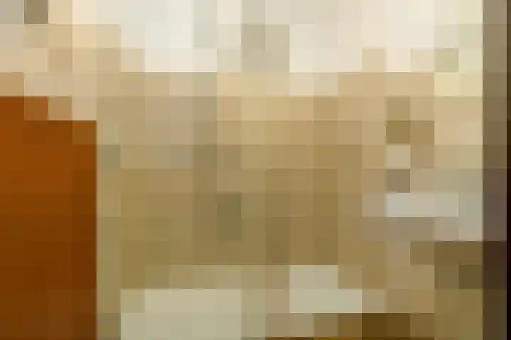 Doonheide 32 Gemert thumbnail 13